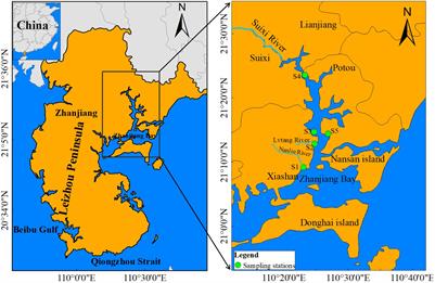 Human activities altered the enrichment patterns of microplastics in mangrove blue carbon ecosystem in the semi-enclosed Zhanjiang Bay, China